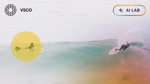 VSCO lays off 24 staff as its consumer business suffers