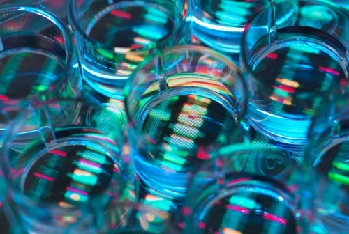 OpenAI-backed biotech firm Chai Discovery raises $130M Series B at $1.3B valuation