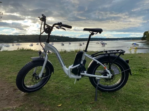 Rad Power Bikes files for bankruptcy and is looking to sell the business