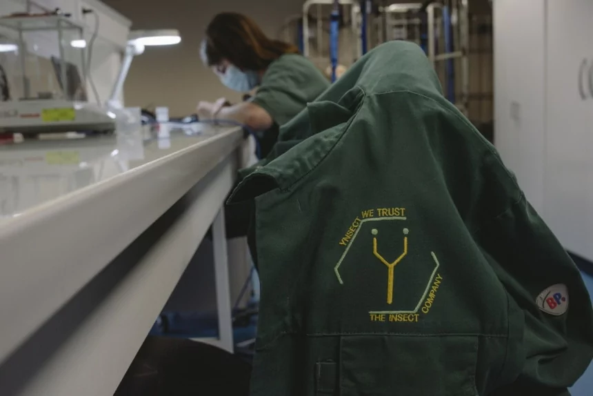 How reality crushed Ÿnsect, the French startup that had raised over $600M for insect farming