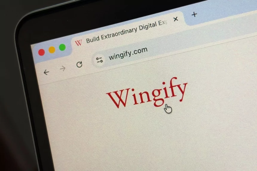 Everstone combines Wingify, AB Tasty for $100M+ digital experience optimization platform