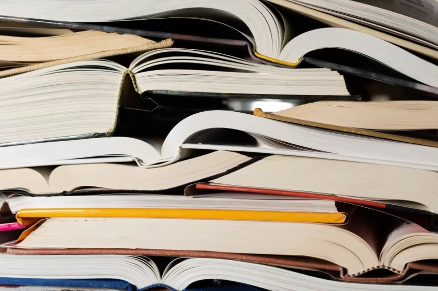 Publisher pulls horror novel ‘Shy Girl’ over AI concerns