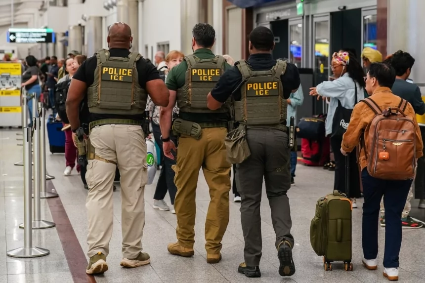 Federal immigration agents filmed making airport arrests as Trump calls in ICE to ease security line delays