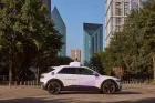 A self-driving car in Austin killed a mother duck, sparking neighborhood outrage