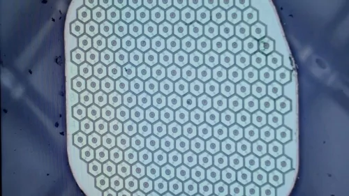 Max Hodak’s Science Corp. is preparing to place its first sensor in a human brain
