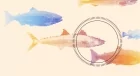This startup built a fish-killing robot and chefs love the results