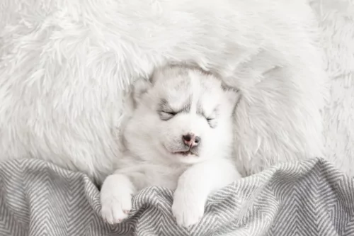 This thin under-pillow speaker helped me fall asleep without earbuds
