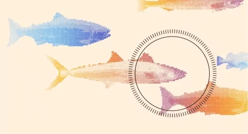 This startup built a fish-killing robot and chefs love the results