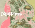 Hermes agent maker Nous Research in talks for new funding at $1.5B valuation